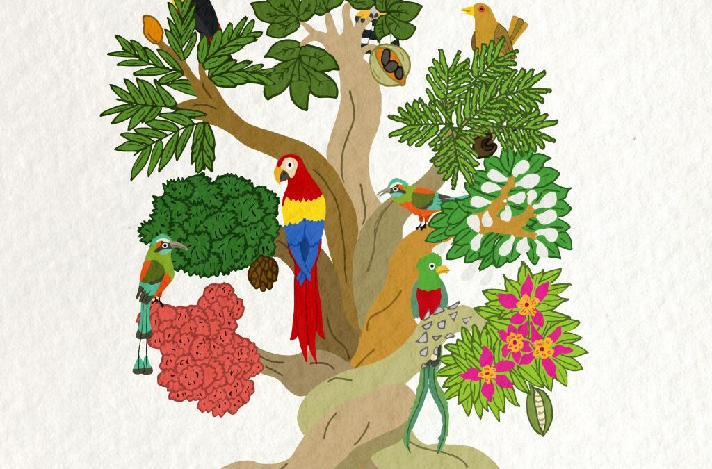 Central American Writers in Conversation: Anthologies, Identity, and Community