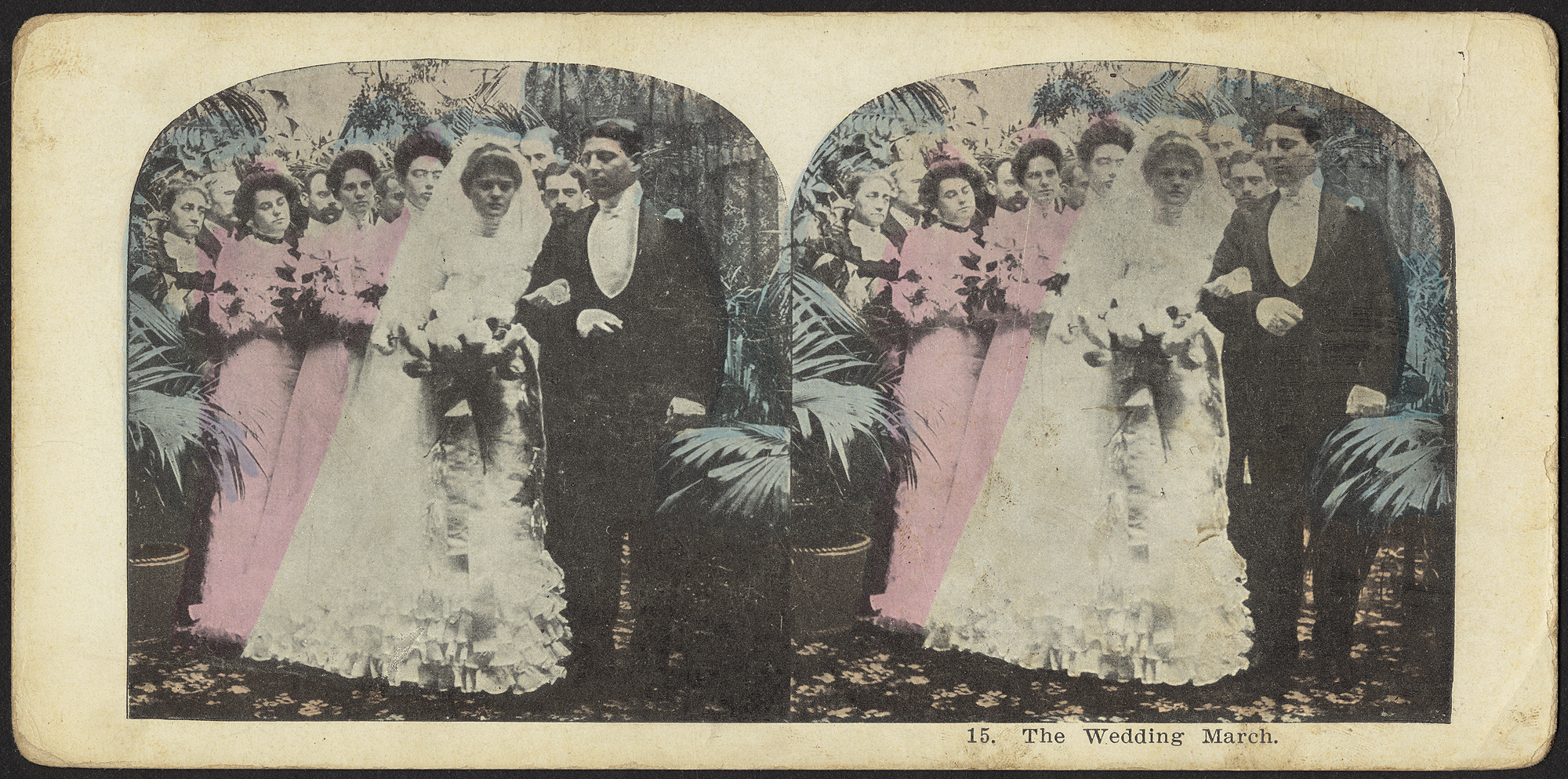 A nineteenth-century stereograph of two side-by-side identical prints. Both are a photograph of a bride and groom during their wedding march, with their wedding party following behind. The image is largely black and white, excepting the pink bridesmaids' dresses and blue-green palm fronds surrounding the group.