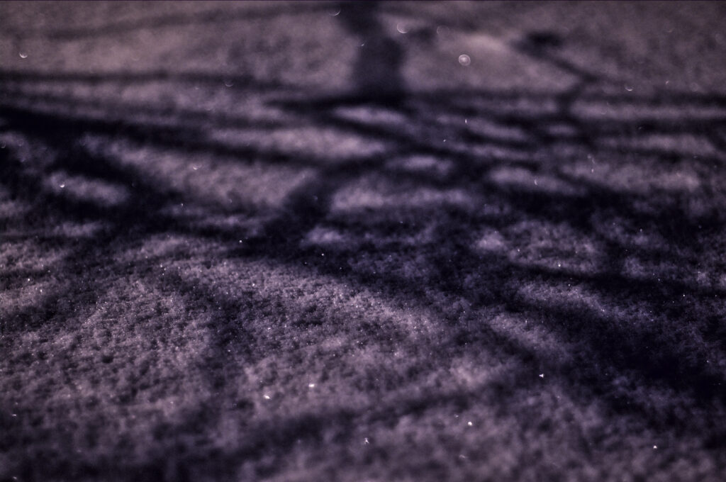 Closeup of snow and shadow of branches. Taken on a winter night in Helsinki.